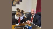 Law Offices Of Marc D Roberts