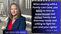 Family Law Attorney