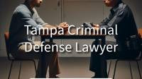 Tampa Criminal Defense Lawyer