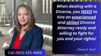 Divorce Attorney
